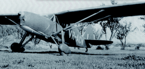 WARBIRDS: 1939 Fairchild to fly